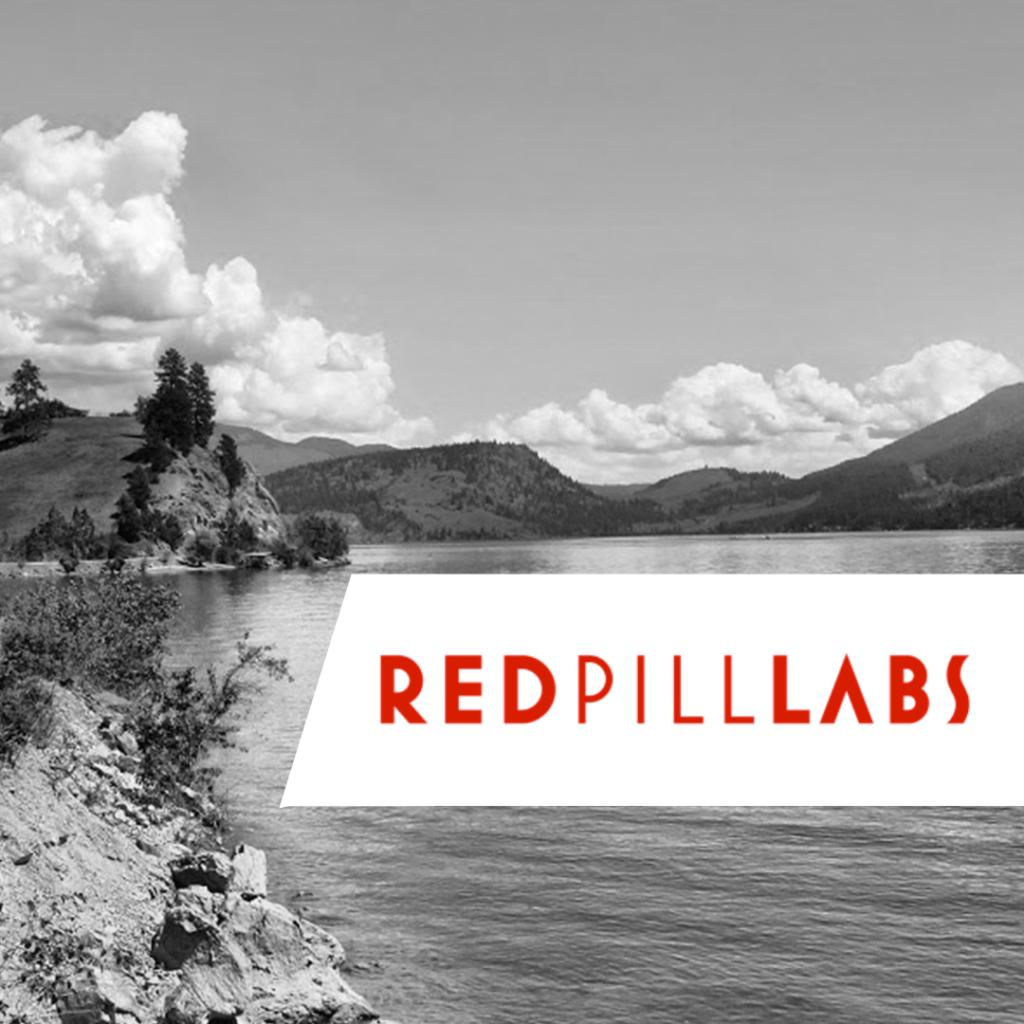 Red Pill Labs Brings Digital Solutions and Consulting Services to Thompson Okanagan Featured Image